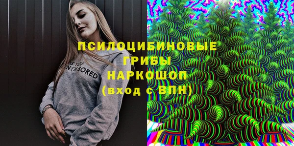 стафф Бронницы